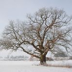 frostige Aussichten