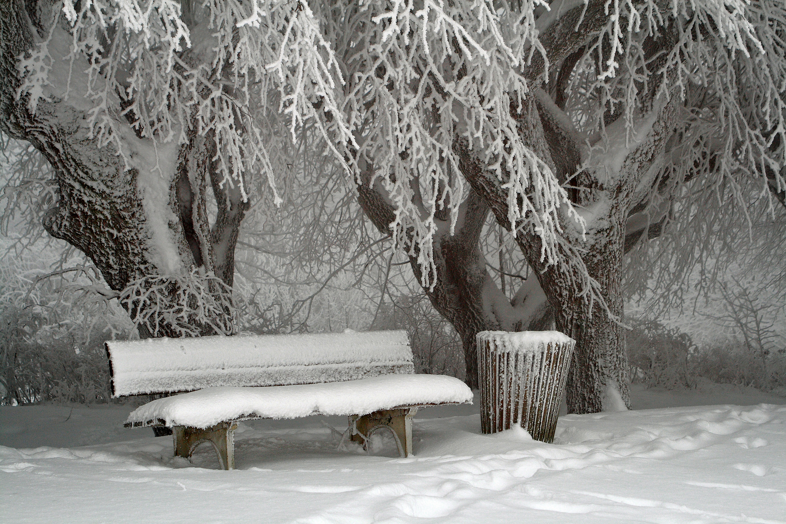 Frostige Begebenheit