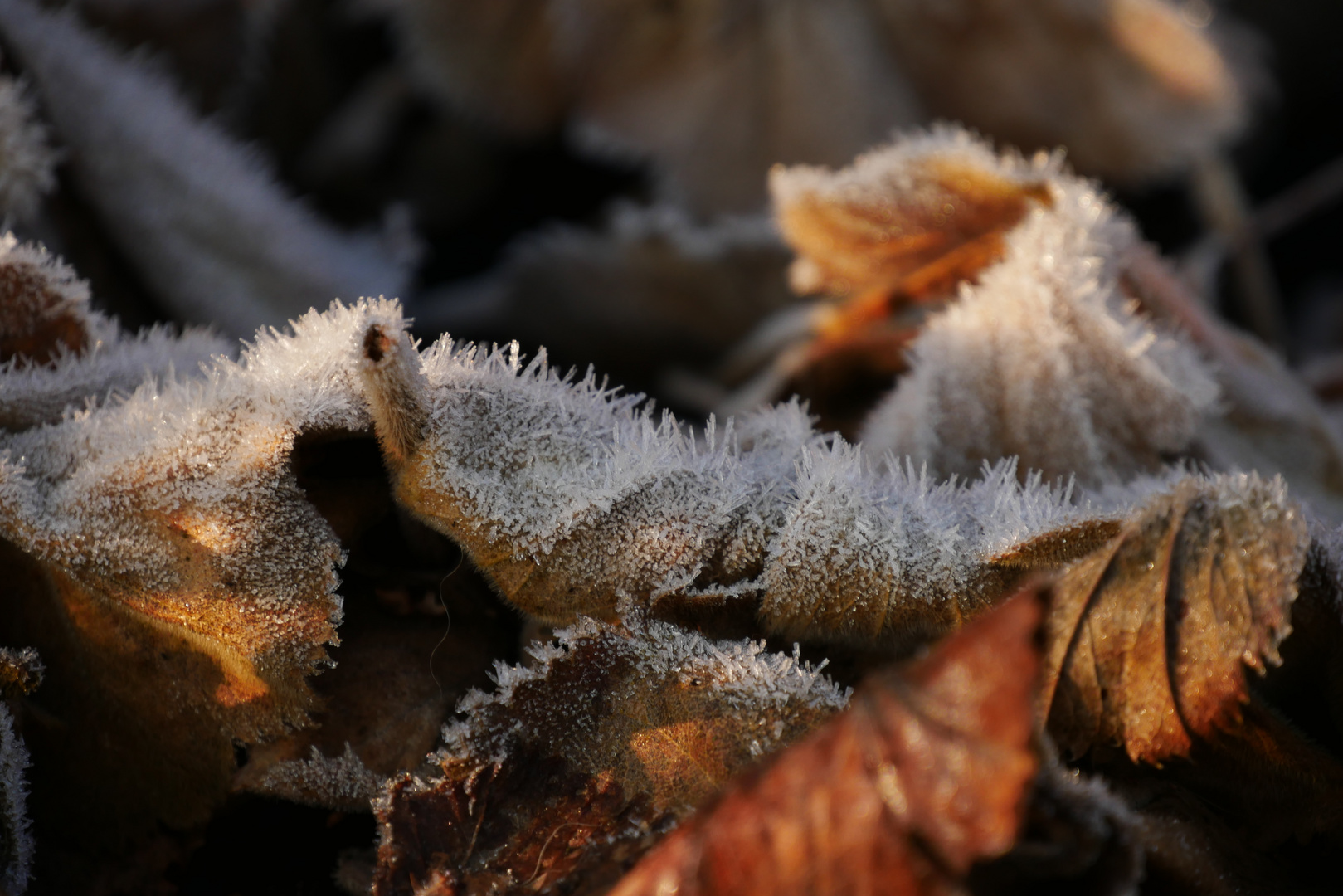 frostige Eiskristalle