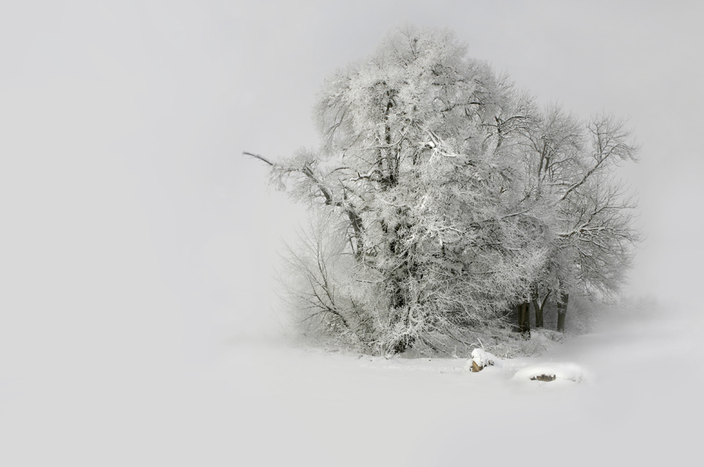 FROSTIGE FILIGRANE WINTERARBEIT