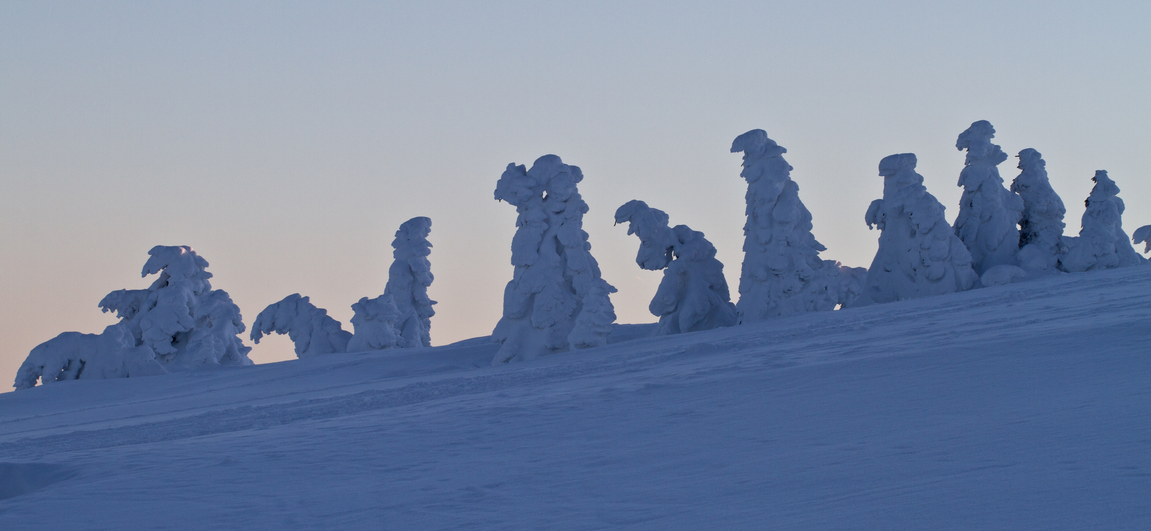 Frostige Gesellschaft