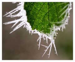 frostige Grüße