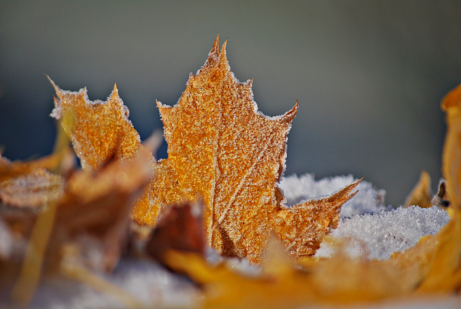 Frostige Grüße an alle, ...