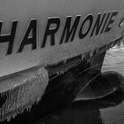 Frostige Harmonie 