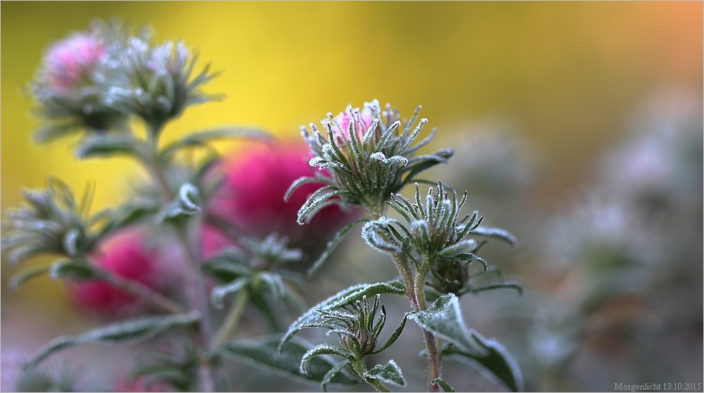 frostige Herbstfarben