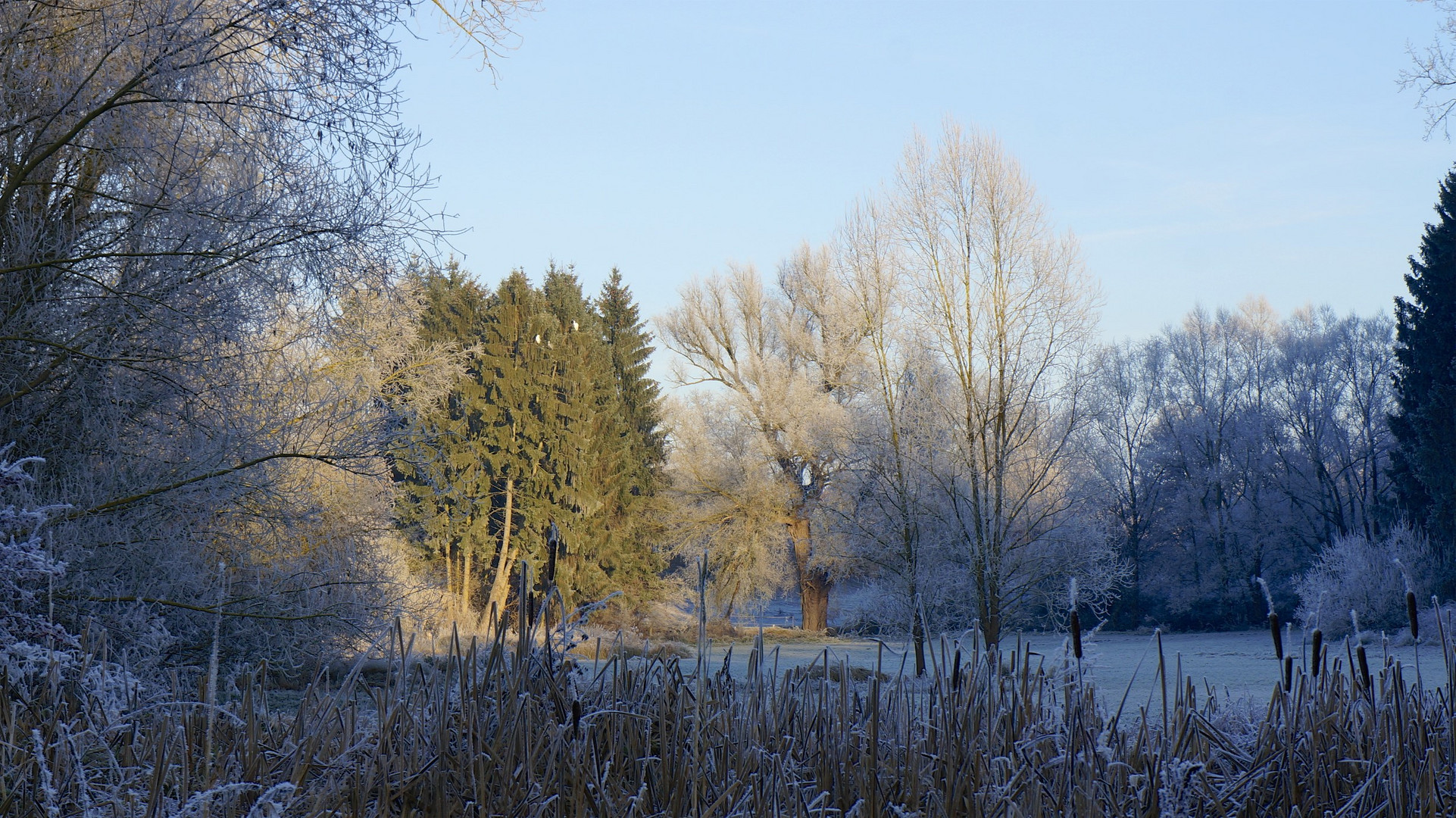 frostige Herbstimmung