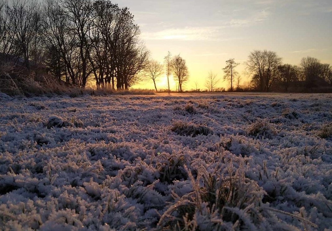 Frostige Landschaft