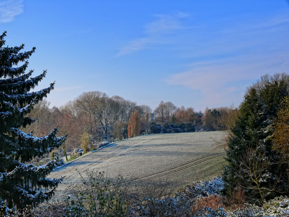 Frostige Landschaft