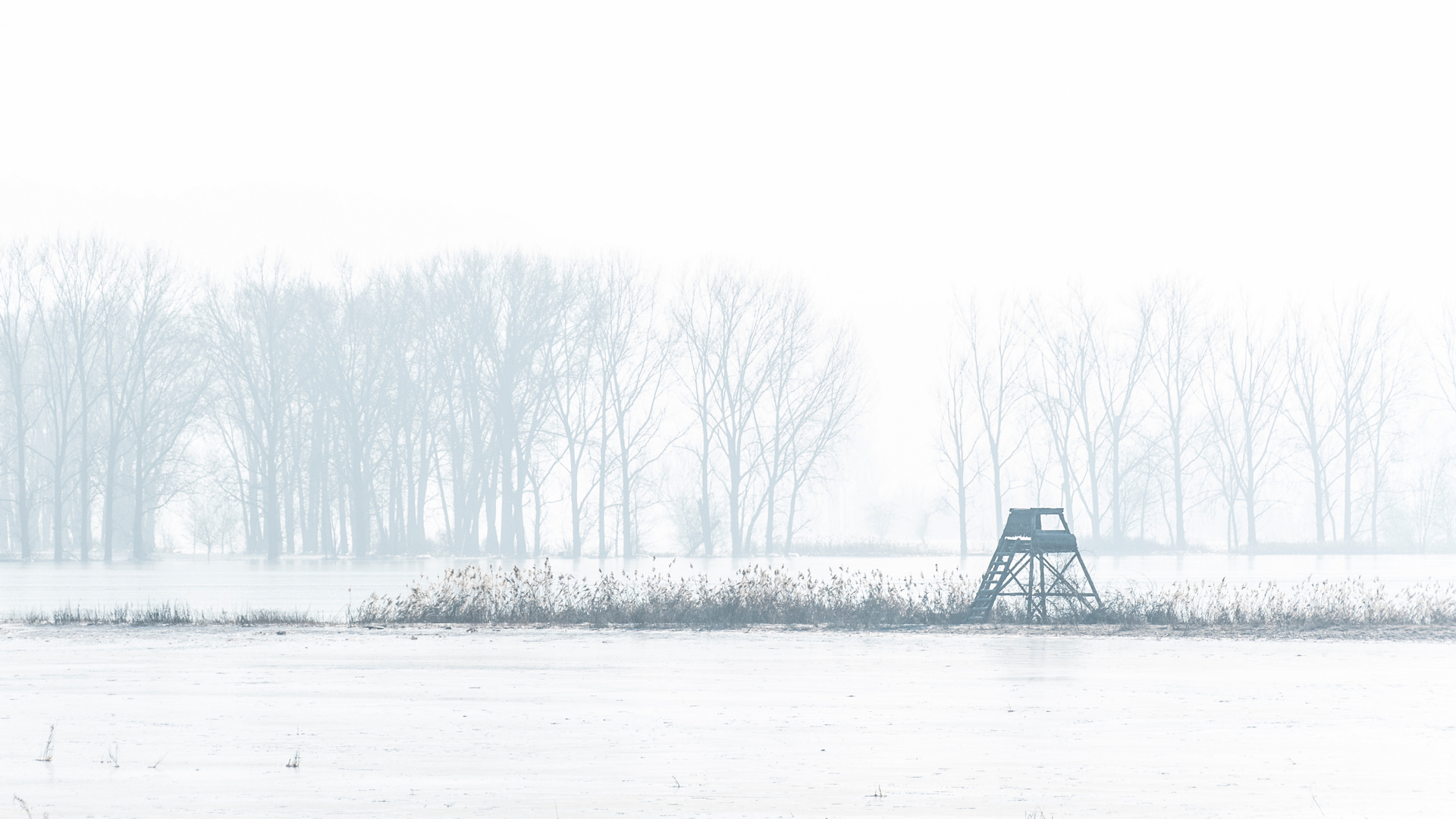 Frostige Landschaft