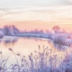 frostige Landschaft