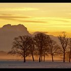 Frostige Landschaft