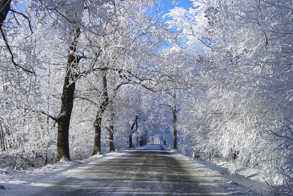 Frostige Landschaft bei Marienbad