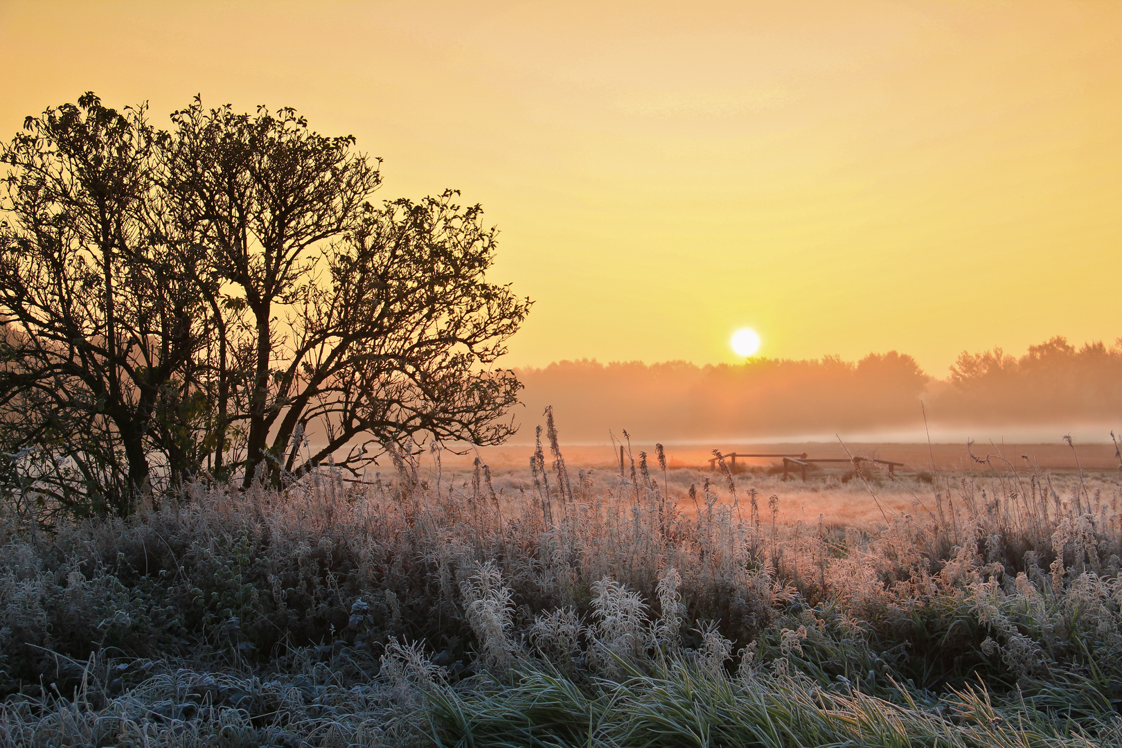 Frostige Landschaft