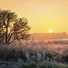 Frostige Landschaft