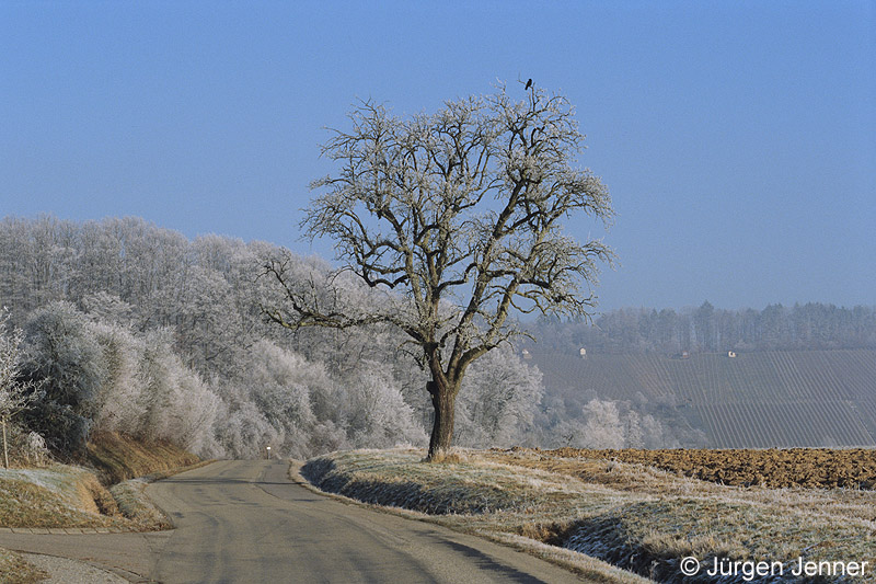 Frostige Landstraße