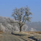 Frostige Landstraße