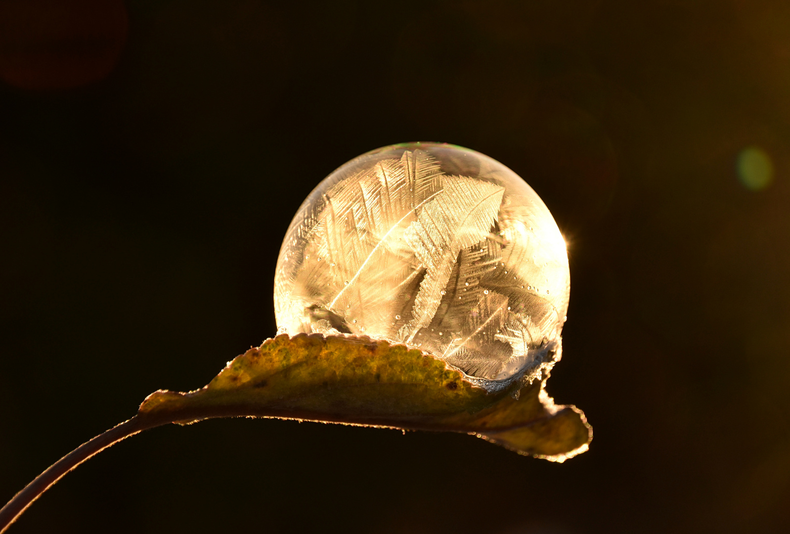 Frostige Leuchtkugel