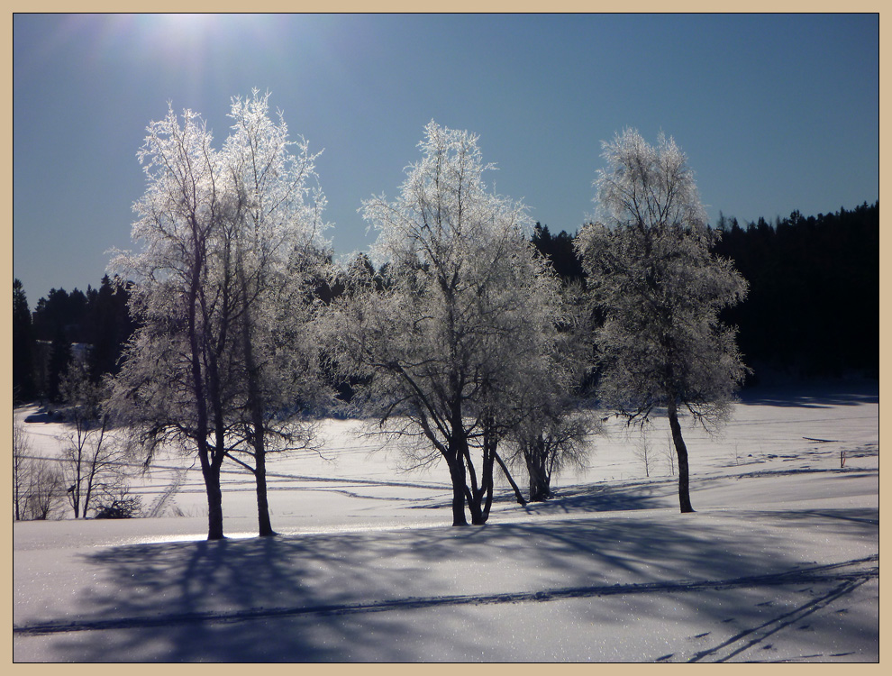 frostige Lichtspiele