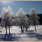 frostige Lichtspiele