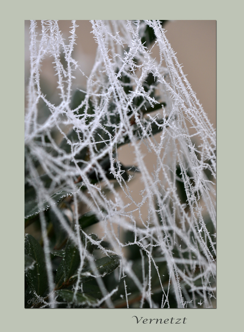 Frostige Momente_4