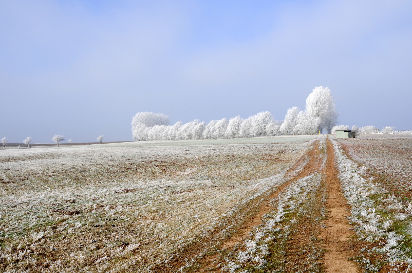 Frostige Morgenlandschaft