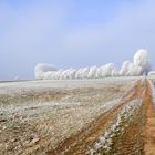 Frostige Morgenlandschaft