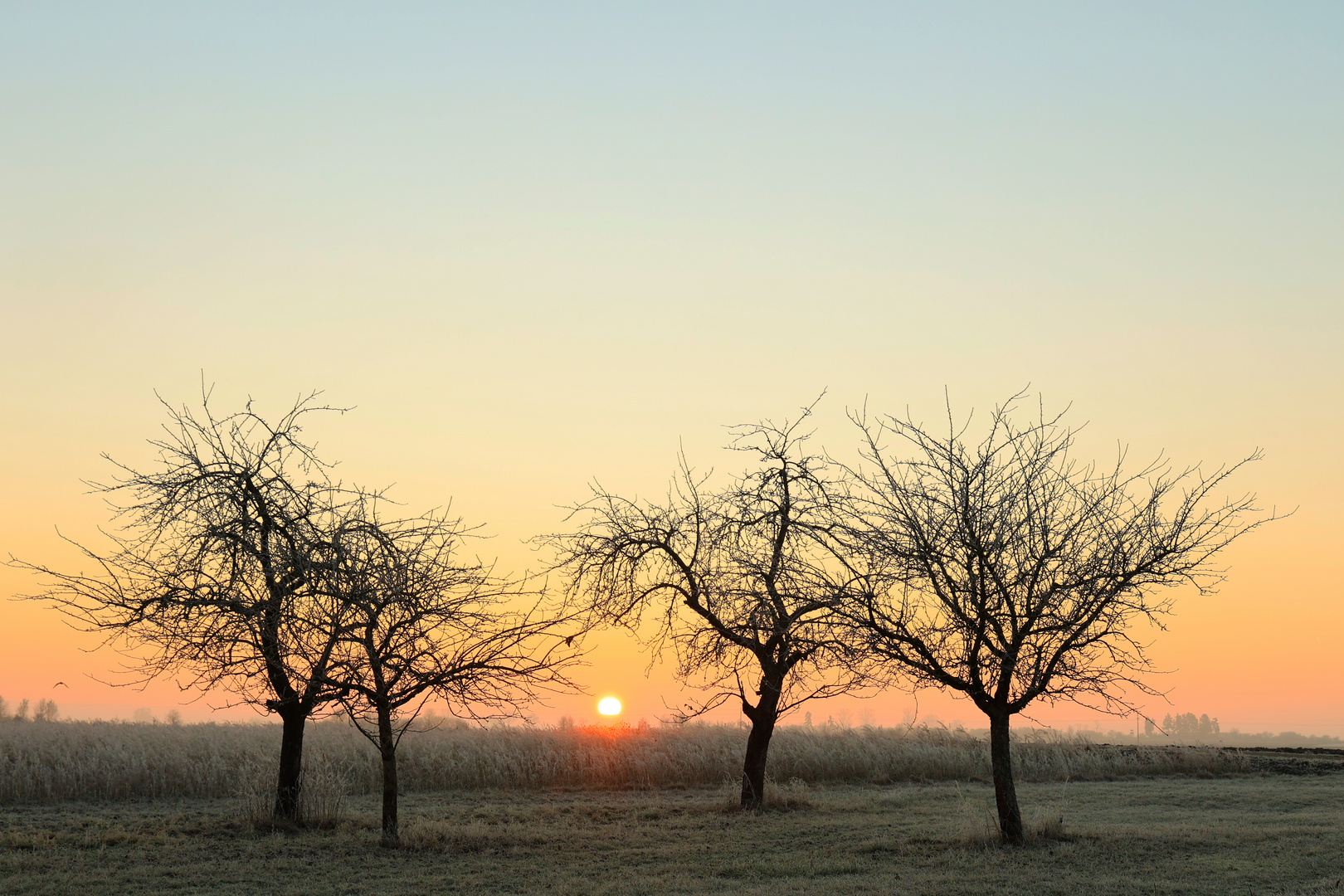 Frostige Morgensonne