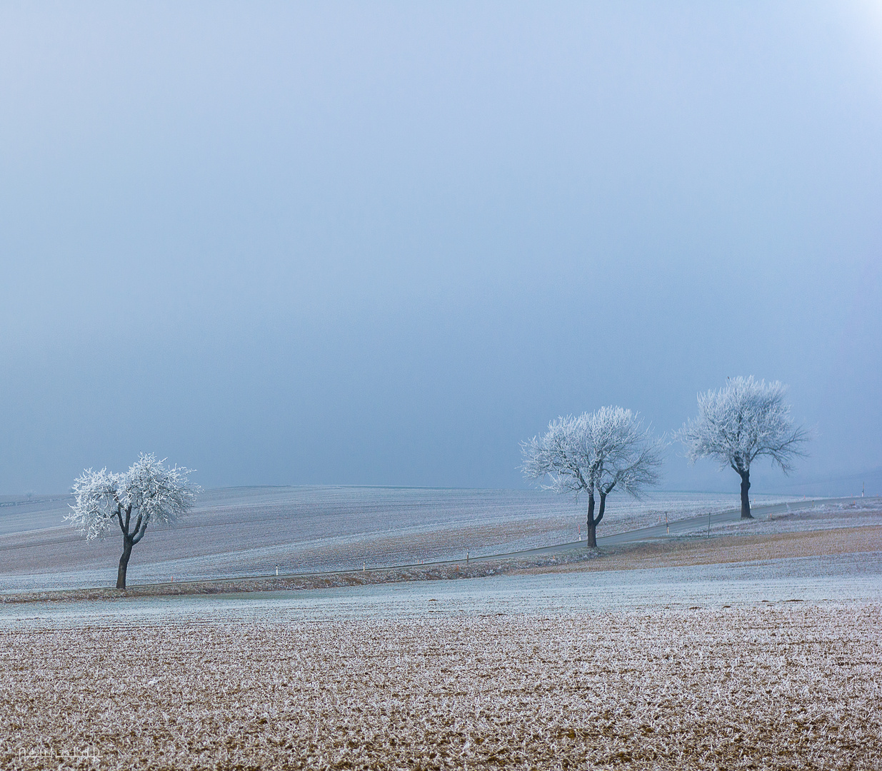 Frostige Morgensonne