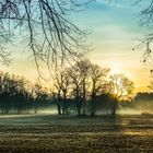 Frostige Ruhe im Park ...