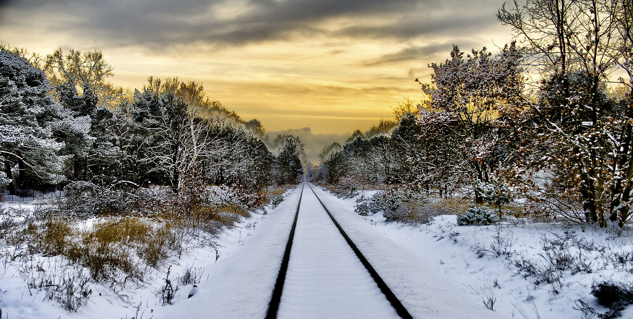 Frostige Sehnsucht