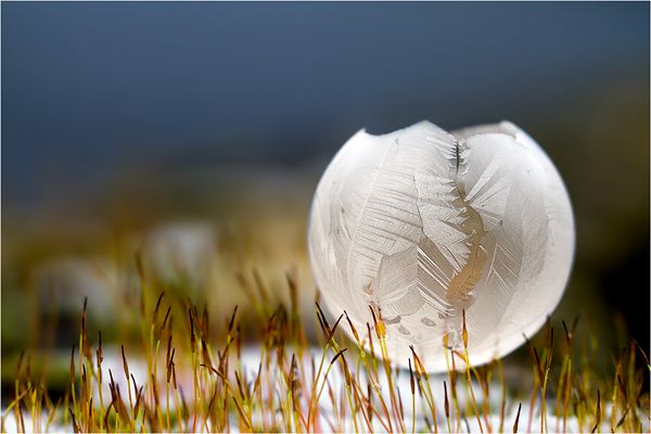 *frostige Seifenblase*