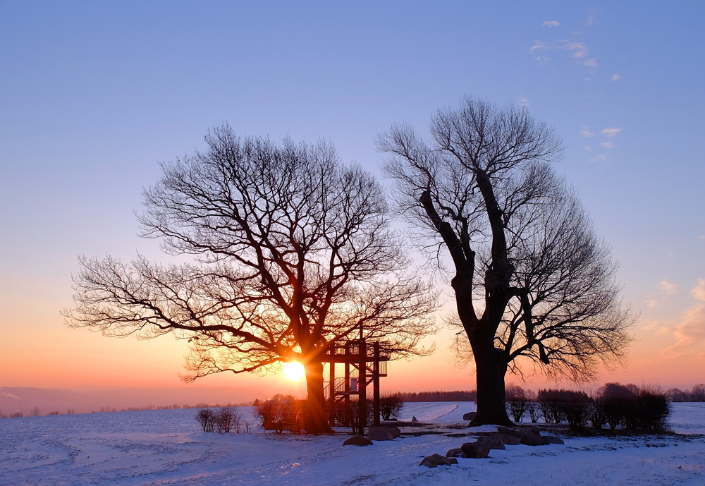 Frostige Sonne