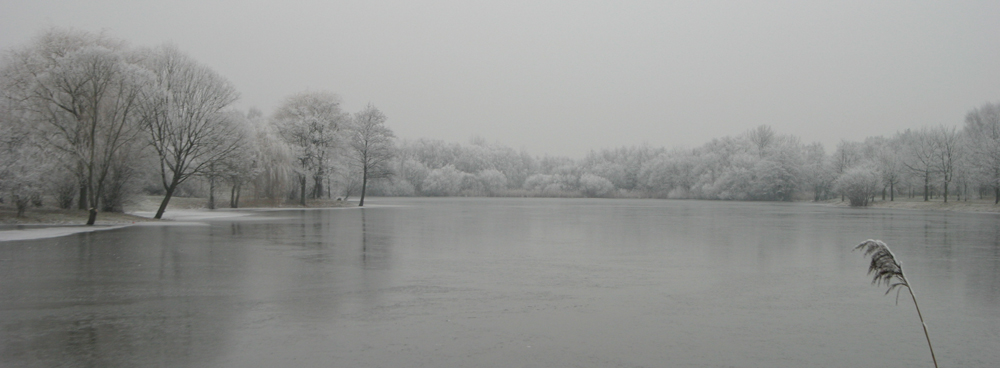 frostige Stille