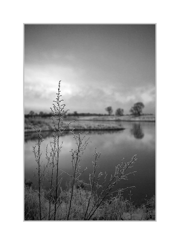 frostige Stille – monochrom