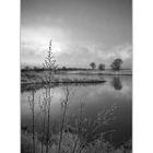 frostige Stille – monochrom