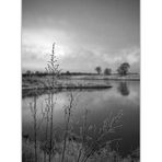 frostige Stille – monochrom