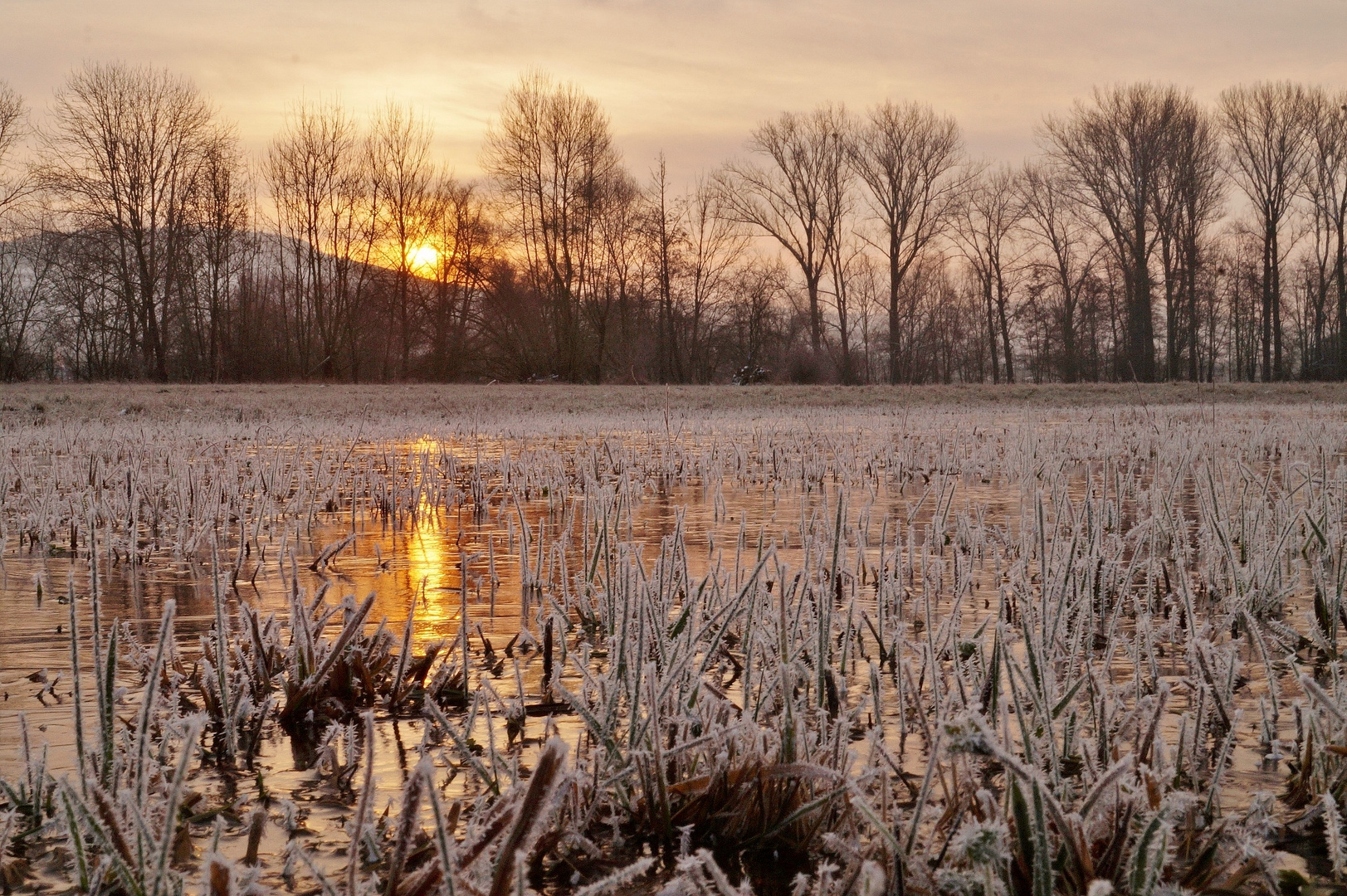 Frostige Tauberauen.