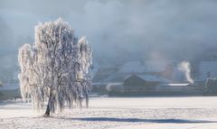 Frostige Temperaturen