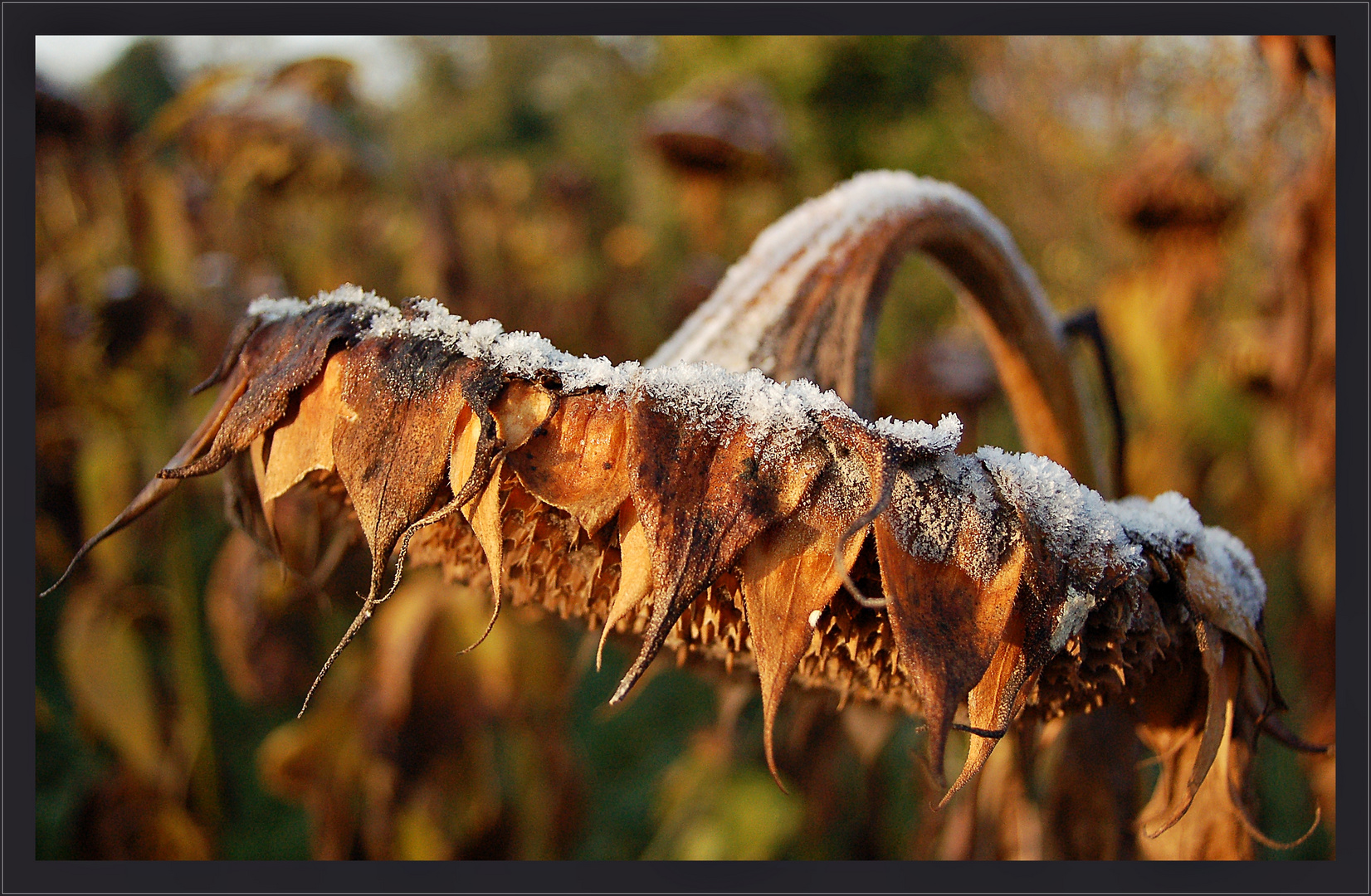 Frostige Übergänge