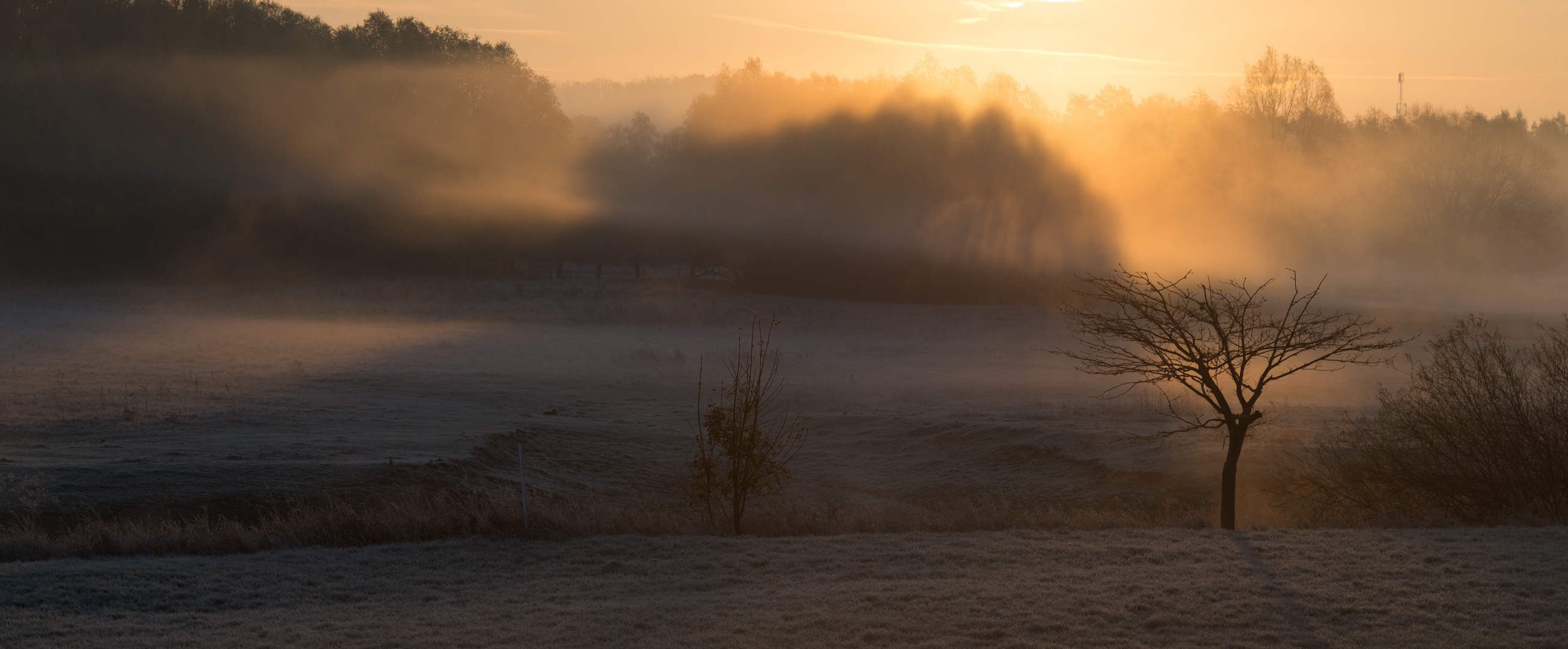 Frostige Umgebung von Lippborg 1