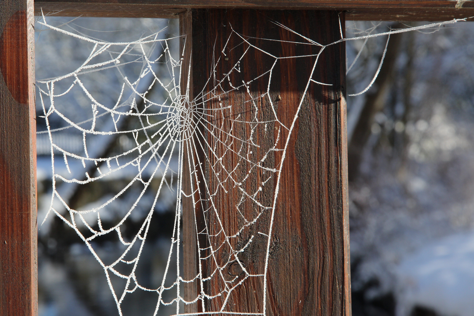 Frostige Verbindung