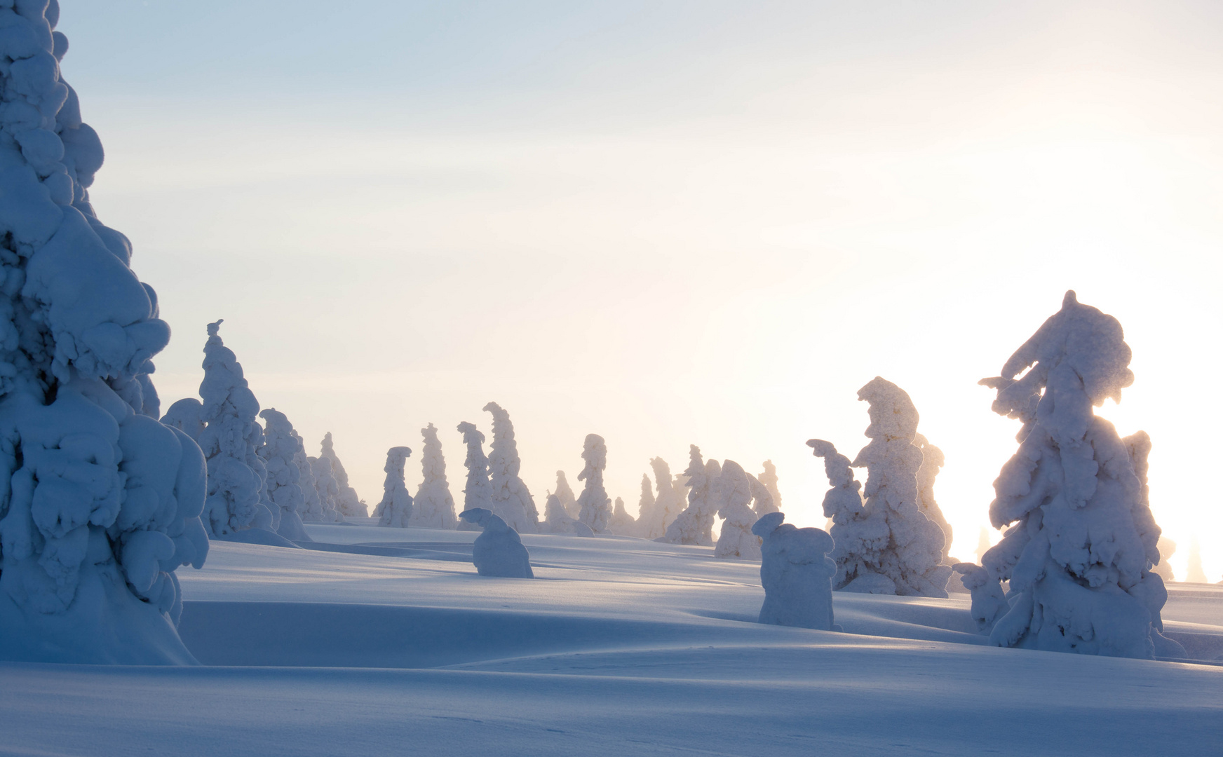 Frostige Versammlung