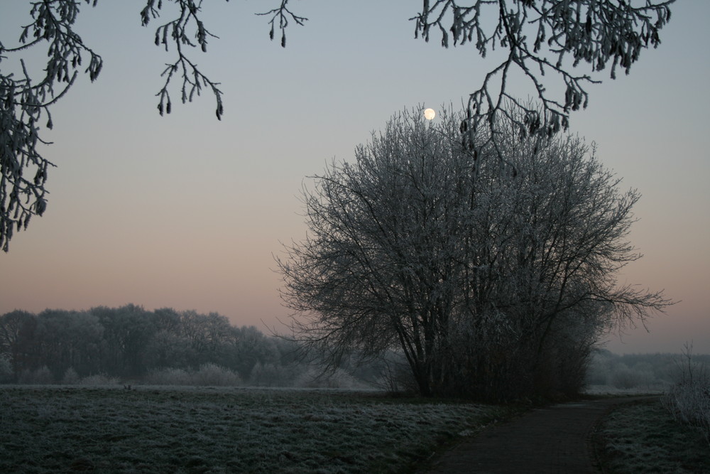 Frostige vor Weihnachtszeit