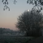 Frostige vor Weihnachtszeit