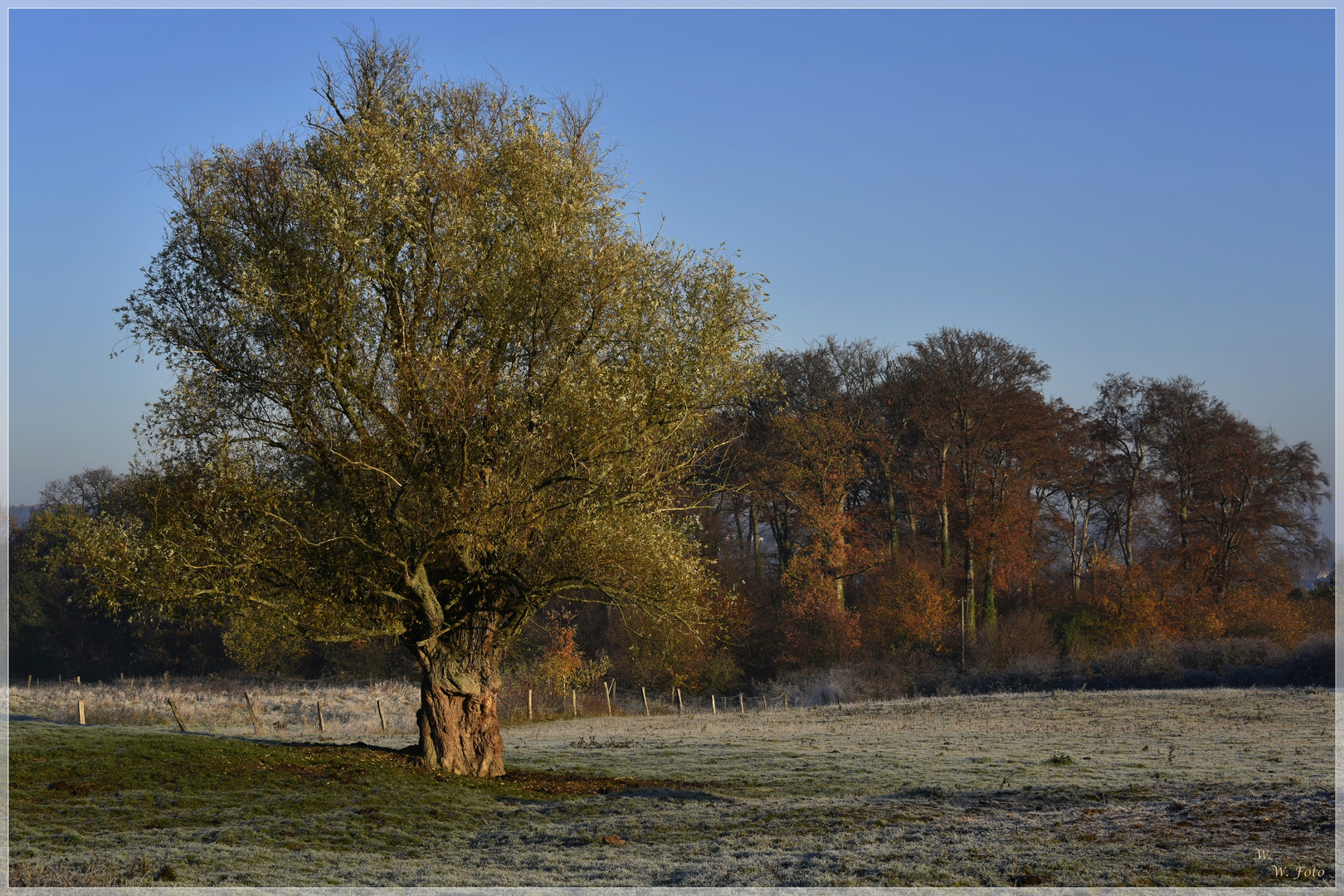 Frostige Wärme