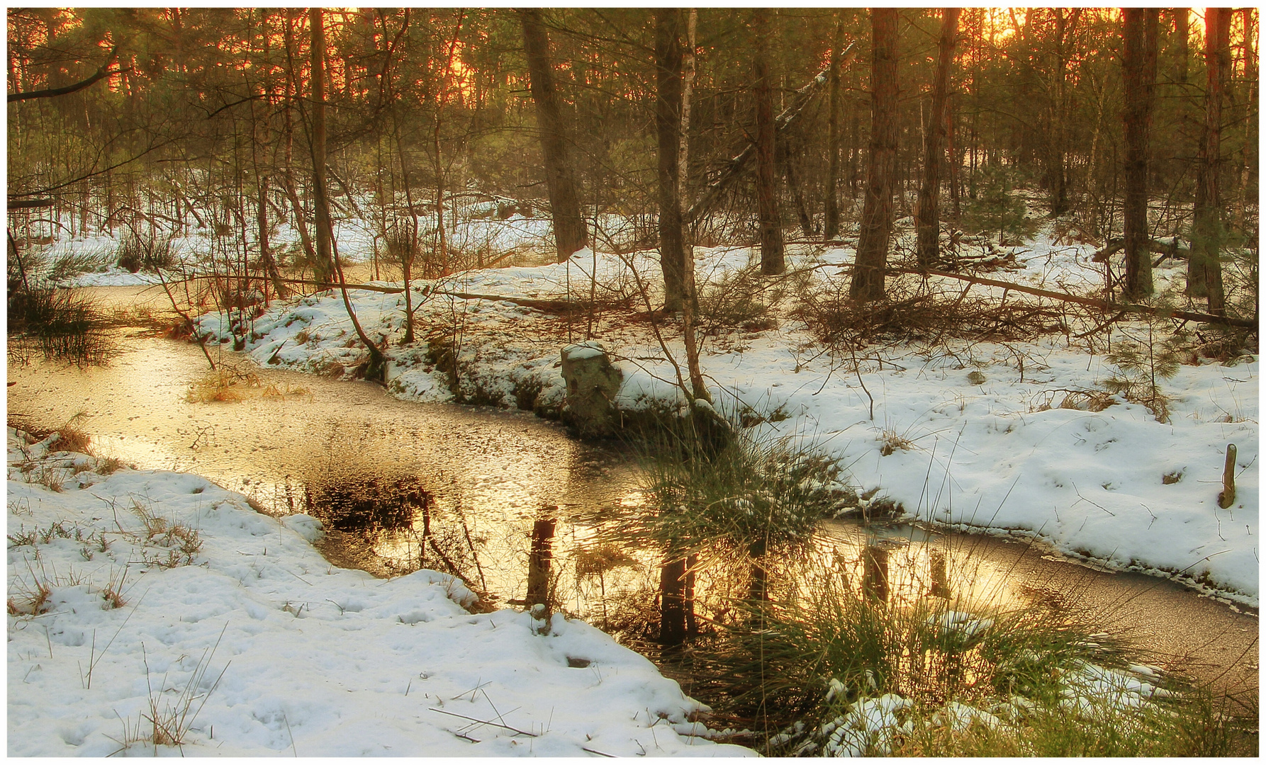 Frostige Wärme