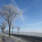 Frostige Winterlandschaft 2