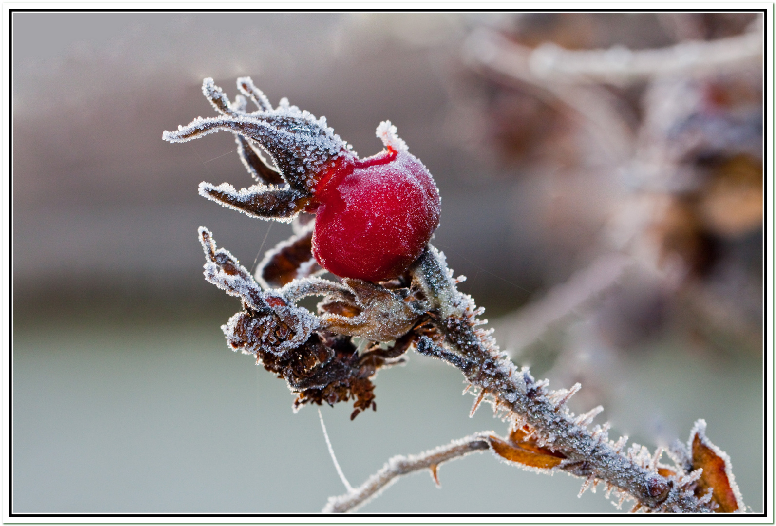 Frostige Zeit