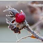 Frostige Zeit