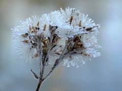 Frostige Zeit